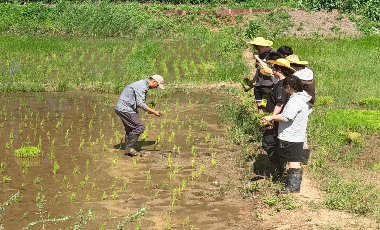 3C70E